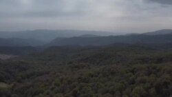 Азия 360°: кто зарабатывает на орехах Джалал-Абада
